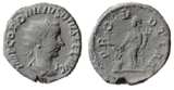 Full Size