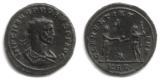 Full Size