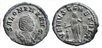 Salonina