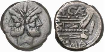 Caecilia