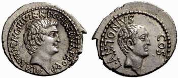 Cocceia
