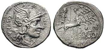 Cornelia 17