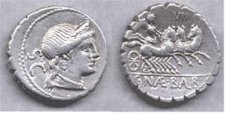 Naevia
